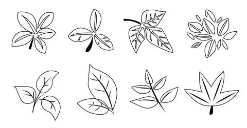 Vector illustration featuring a collection of six different leaf designs in Stock Illustration