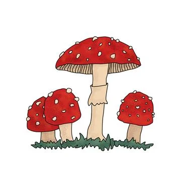 A vector illustration featuring four stylized cartoon outline fly agaric Stock Illustration