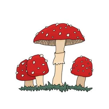 Vector illustration featuring four stylized cartoon outline fly agaric mushrooms Stock Illustration