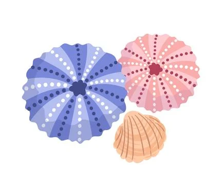 A vector illustration featuring a vibrant sea urchins and a delicate seashe.. Illustrazione stock