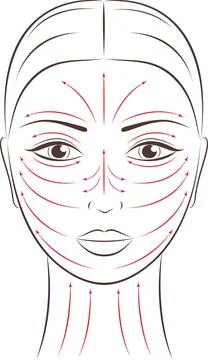Vector illustration of female face. Stock Illustration