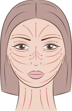 Vector illustration of female face. Stock Illustration