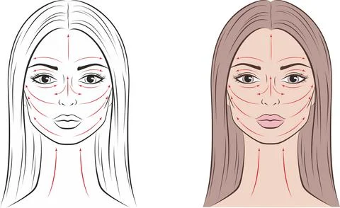 Vector illustration of female face. Stock Illustration
