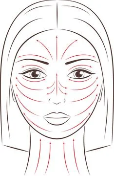 Vector illustration of female face. Stock Illustration