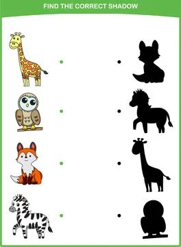 Vector illustration finding the correct shadow wild animals Stock Illustration