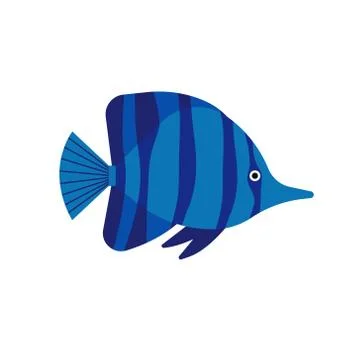 Vector illustration of fish isolated on white background. Handdrawn design el Stock Illustration