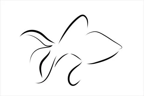 Vector illustration of fish painted with simple lines. Symbol of aquaristics  Stock Illustration