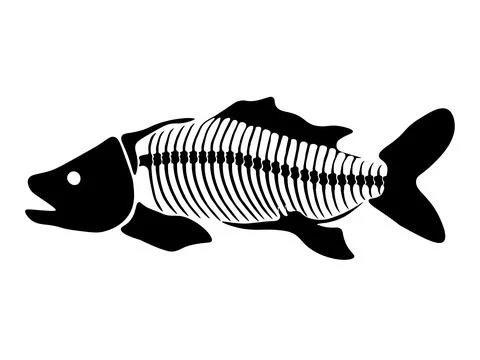 Vector illustration with fish skeleton isolated on a white background. Stock Illustration