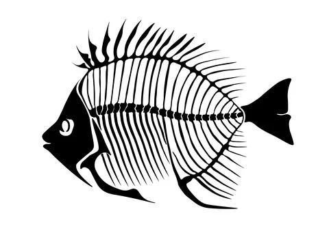 Vector illustration with fish skeleton isolated on a white background. Illustrazione stock