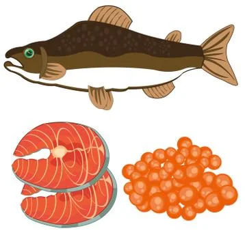 Vector illustration of fish of the sort salmon and meat with roe Stock Illustration