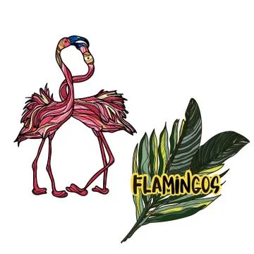 Vector illustration with flamingos on white background. Stock Illustration