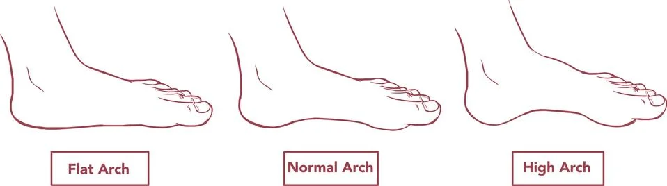 Vector illustration of a flat and normal feet Stock Illustration
