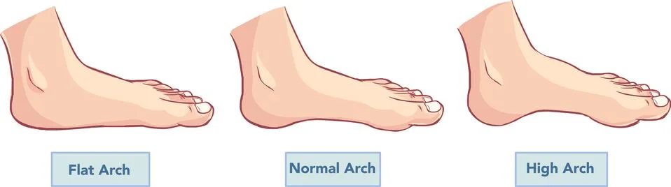 Vector illustration of a flat and normal feet Stock Illustration