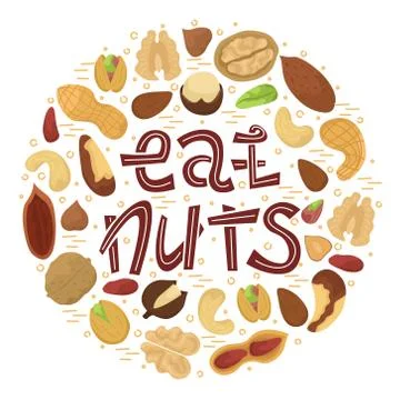 Vector illustration with flat nuts arranged in a circle shape with lettering Stock Illustration