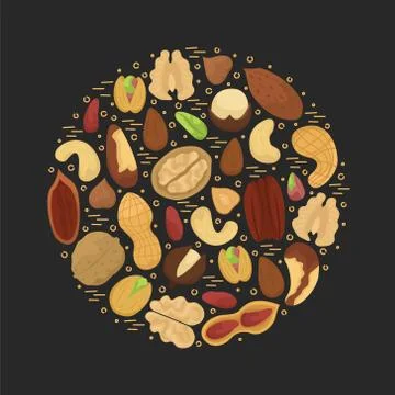 Vector illustration with flat nuts arranged in a circle shape. Illustrazione stock