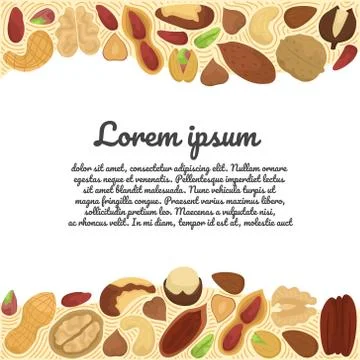 Vector illustration with flat nuts. Template with space for text. 库存插图