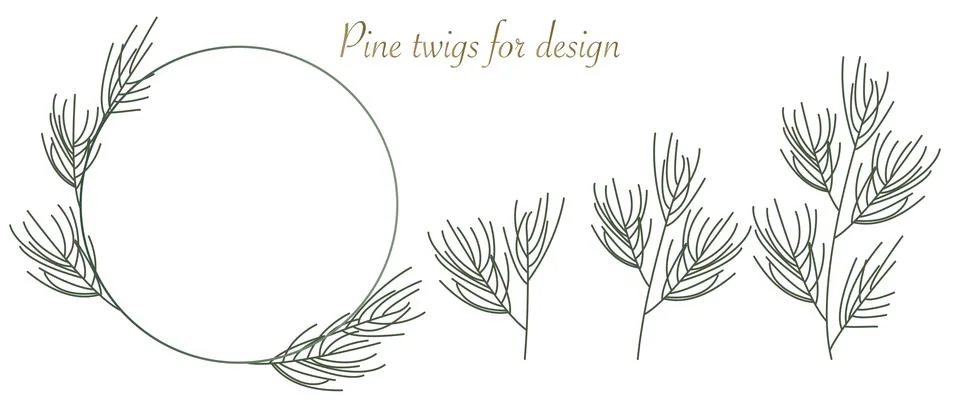 Vector illustration. Flat pine leaves. Set of branches. Gentle elegant. Sui.. Stock Illustration