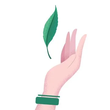 Vector illustration in flat style with hand and green leaf isolated on whit.. Stock Illustration
