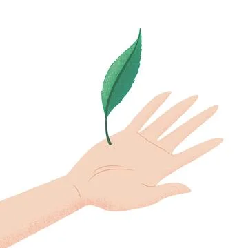 Vector illustration in flat style with hand and green leaf isolated on whit.. Stock Illustration