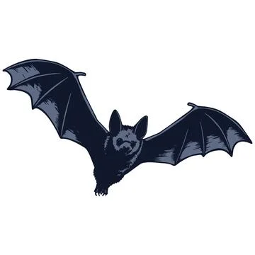 Vector illustration of a flaying bat. Vector. Stock Illustration