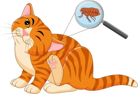 Vector illustration of flea Infested cat Stock Illustration