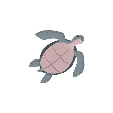 Vector illustration of a floating spotted sea turtle, bottom view, in a flat Stock Illustration