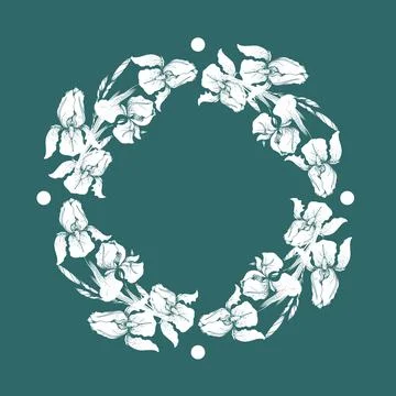 Vector illustration - floral frame with white iris flowers Stock Illustration