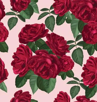 Vector Illustration of floral seamless pattern Stock Illustration