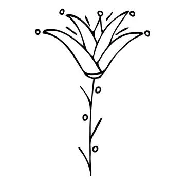 Vector illustration of a flower in doodle style Stock Illustration