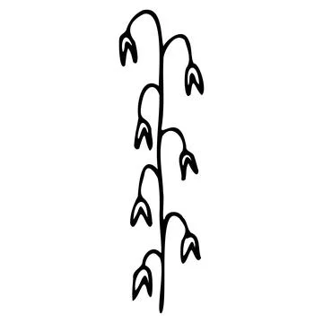 Vector illustration of a flower in doodle style Stock Illustration