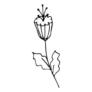 Vector illustration of a flower in doodle style Stock Illustration