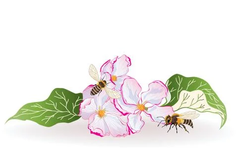 Vector illustration with flowers and bees Illustrazione stock
