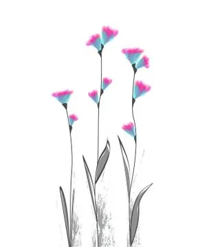 Vector illustration flowers Stock Illustration