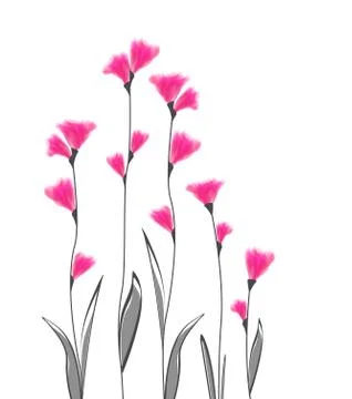 Vector illustration flowers Stock Illustration