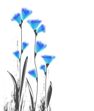 Vector illustration flowers Stock Illustration