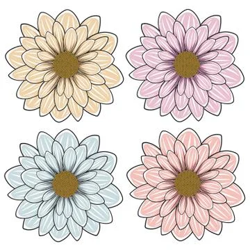 Vector illustration with flowers. Isolated objects on a white. Stock Illustration