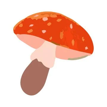Vector illustration of a fly agaric mushroom in cartoon style on white back.. Stock Illustration