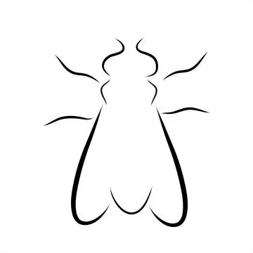Vector illustration of fly painted with simple lines. Symbol of insect and pa Stock Illustration