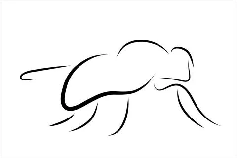 Vector illustration of fly painted with simple lines. Symbol of insect and pa Stock Illustration