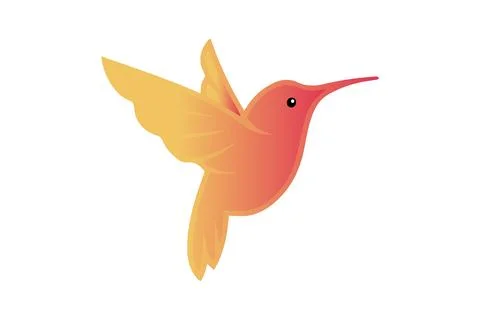 Vector illustration of a flying hummingbird 스톡 일러스트
