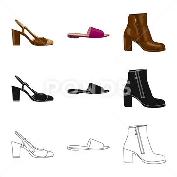 Vector illustration of footwear and woman icon. Set of footwear and foot vector Stock Illustration