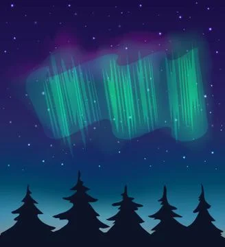 Vector illustration. Forest and night sky with stars and northern light. Stock Illustration