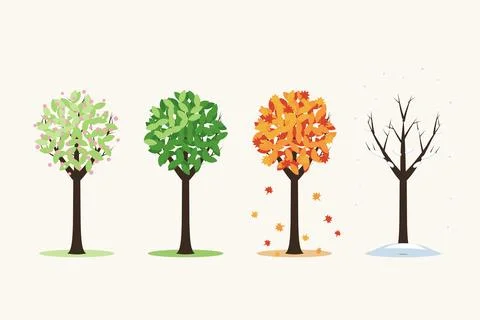 Vector Illustration Of Four Trees Representing The Seasons 스톡 일러스트