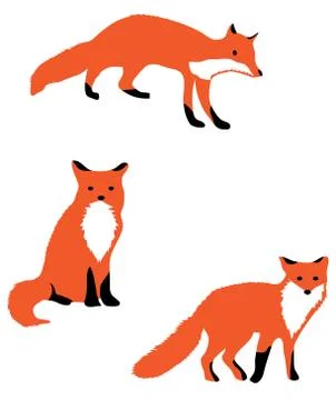 Vector Illustration Fox Stock Illustration