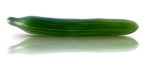 Vector illustration of fresh cucumber Illustrazione stock