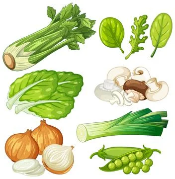 Vector Illustration of Fresh Garden Vegetables and Healthy Cooking Ingredient Stock Illustration