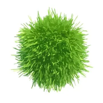 Vector illustration of fresh green grass piece Illustrazione stock