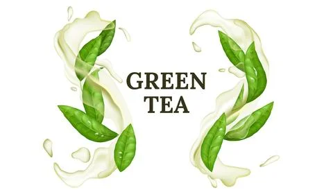 Vector illustration of fresh green tea leaf with water splash and swirling .. Stock Illustration