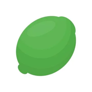 Vector illustration of fresh lime fruit, green citrus slice. Stock Illustration