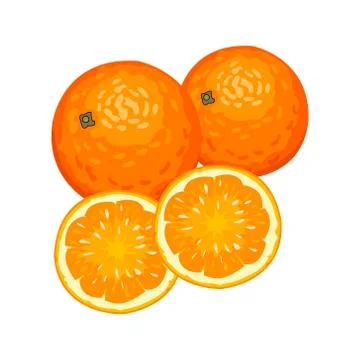 Vector illustration of fresh oranges Stock Illustration